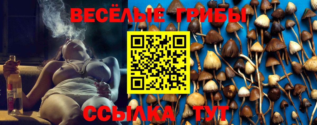 Псилоцибиновые грибы мицелий Кондопога
